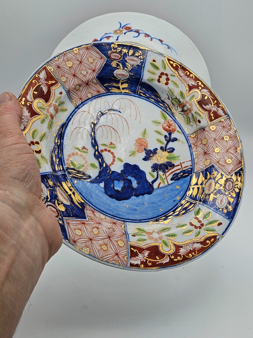 Beautiful Early 19thc Pair of Coalport's money tree pattern Plates c1830 View VI