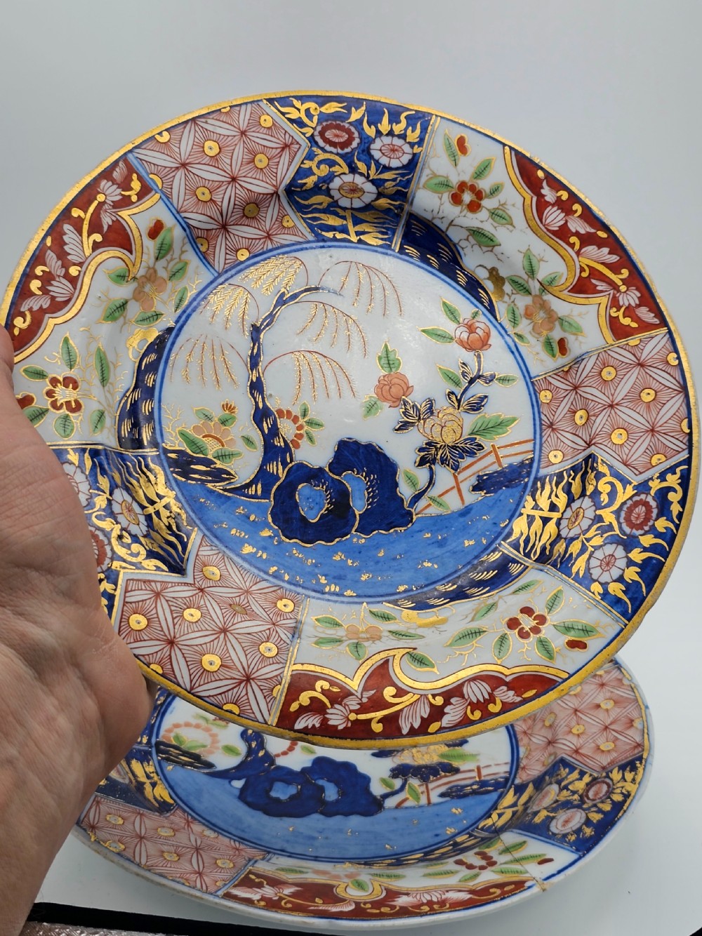 Beautiful Early 19thc Pair of Coalport's money tree pattern Plates c1830 View VII