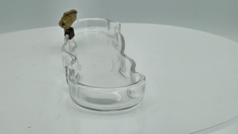 Unusual and Exquisite Cold Painted Bronze Chicks on Crystal Glass Pen Tray c1900 View X