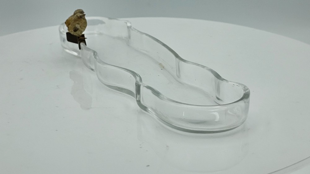 Unusual and Exquisite Cold Painted Bronze Chicks on Crystal Glass Pen Tray c1900 View XVIII