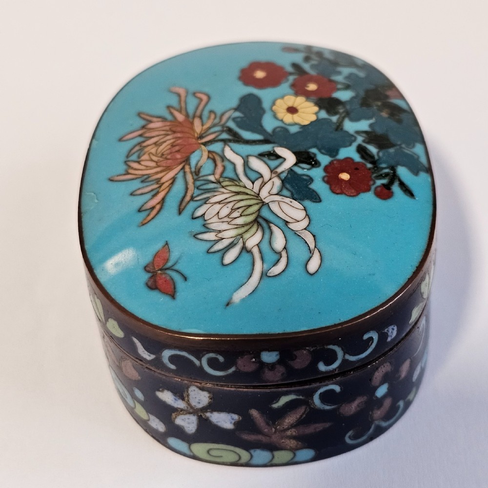 Exquisite Japanese Cloisonne Oval Patch Box c1900 View IV