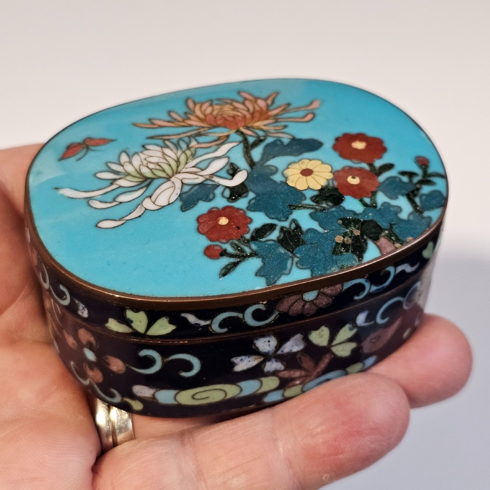 Exquisite Japanese Cloisonne Oval Patch Box c1900 View VII