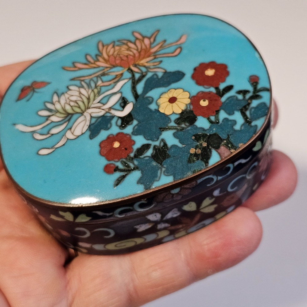 Exquisite Japanese Cloisonne Oval Patch Box c1900 View VIII