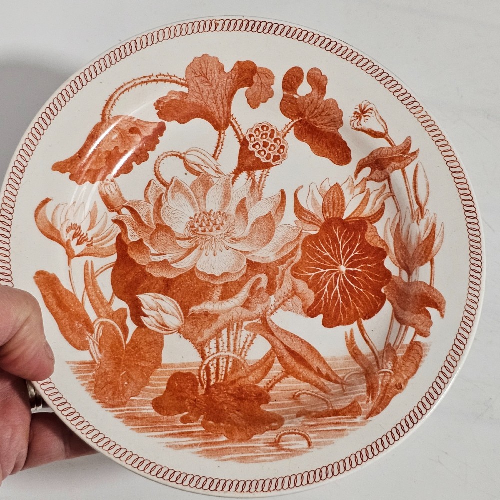 Rare Wedgwood 'Water Lily’ 