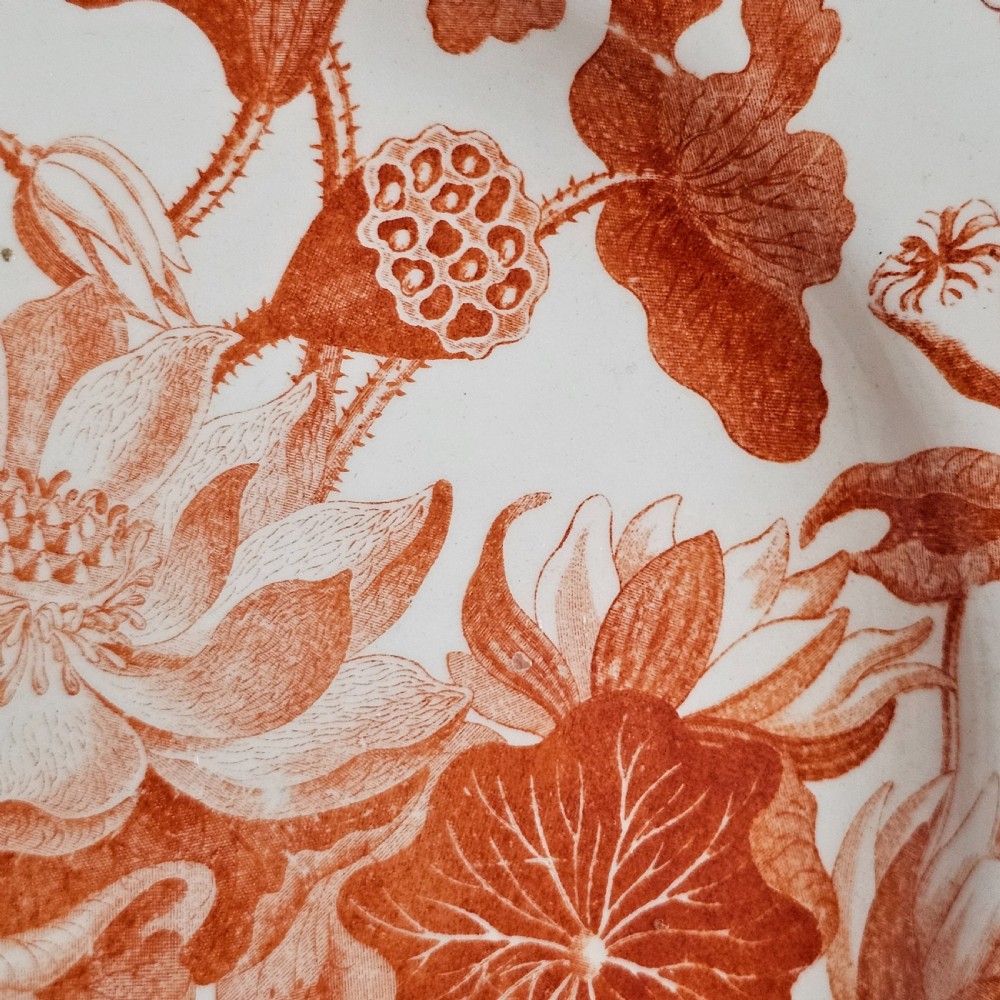 Rare Wedgwood 'Water Lily’ 