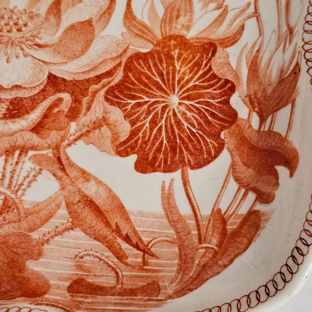 Rare Wedgwood “Water Lily” Quatrefoil Pearlware Plate View II