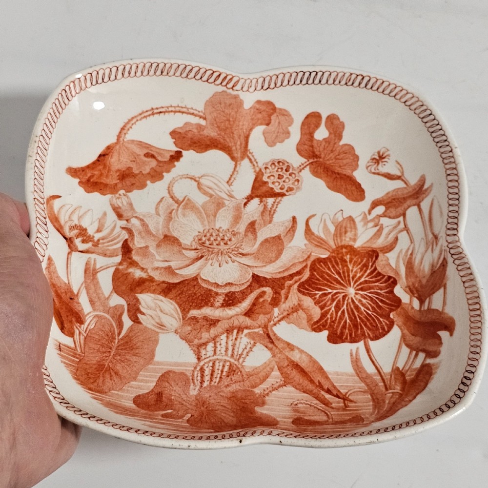 Rare Wedgwood “Water Lily” Quatrefoil Pearlware Plate View IV