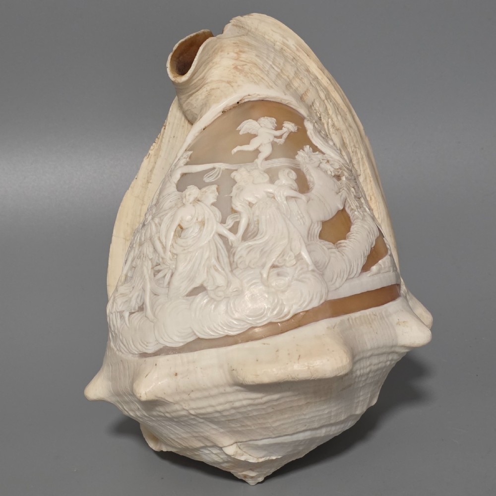 Fine Large (18cm) Antique Conch Shell Cameo Aurora Chariot Mythical Scene