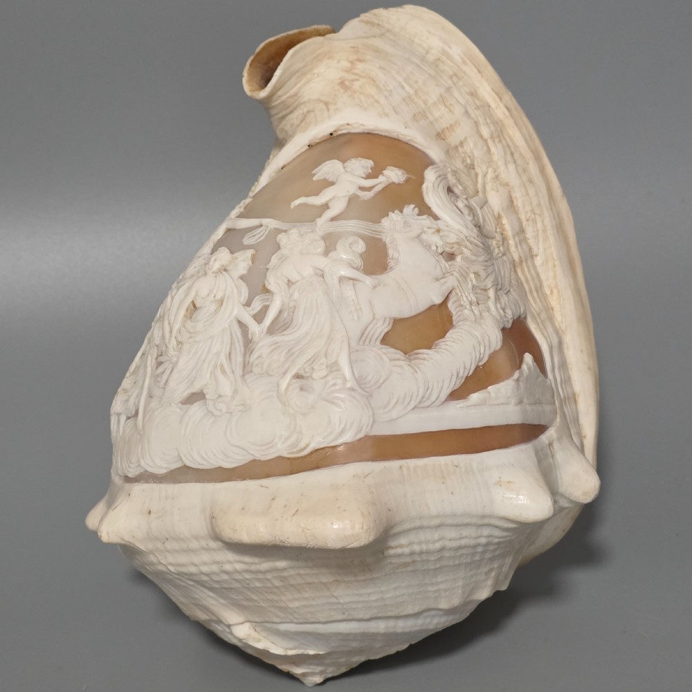 Fine Large (18cm) Antique Conch Shell Cameo Aurora Chariot Mythical Scene View II