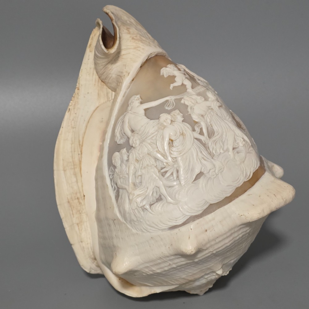 Fine Large (18cm) Antique Conch Shell Cameo Aurora Chariot Mythical Scene View III