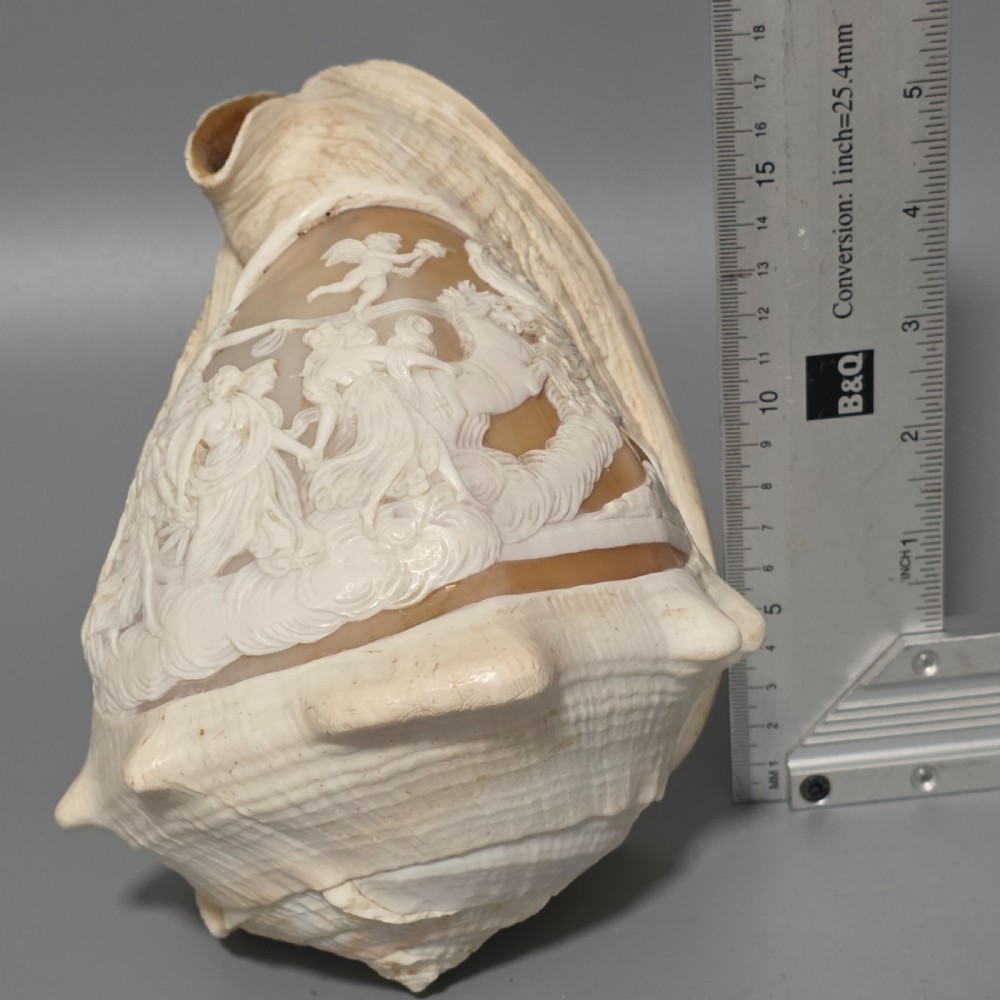 Fine Large (18cm) Antique Conch Shell Cameo Aurora Chariot Mythical Scene View V