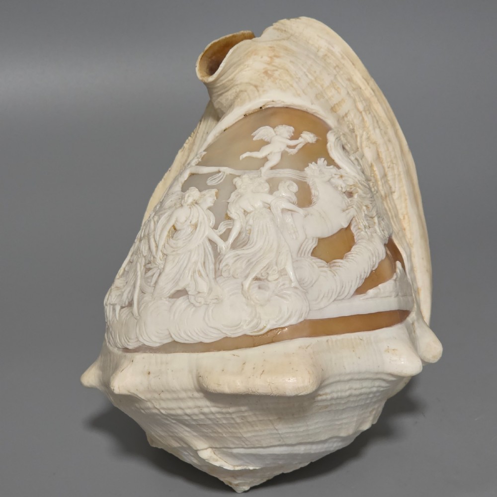 Fine Large (18cm) Antique Conch Shell Cameo Aurora Chariot Mythical Scene View VI
