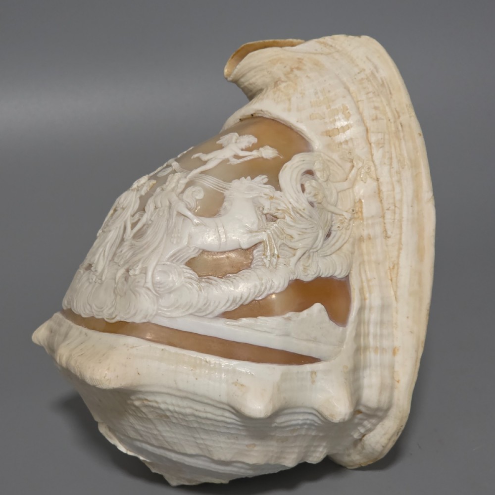 Fine Large (18cm) Antique Conch Shell Cameo Aurora Chariot Mythical Scene View VII