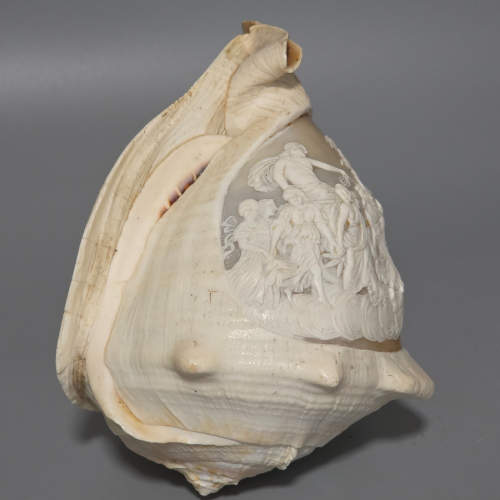 Fine Large (18cm) Antique Conch Shell Cameo Aurora Chariot Mythical Scene View VIII