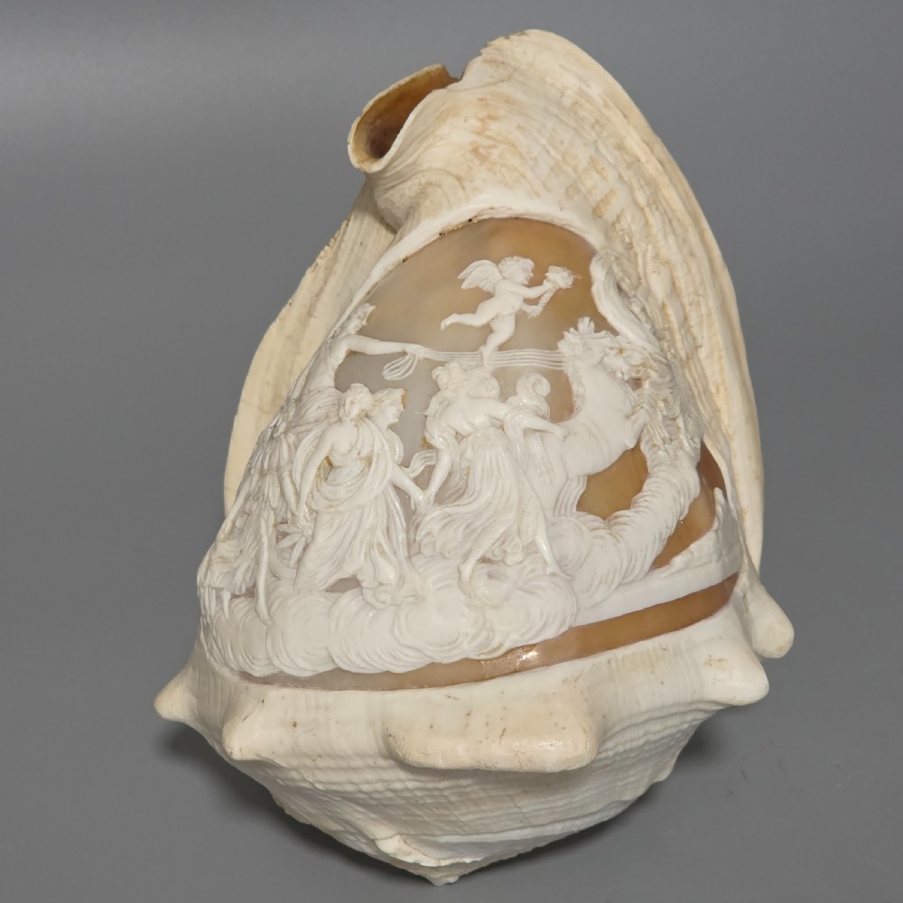 Fine Large (18cm) Antique Conch Shell Cameo Aurora Chariot Mythical Scene View XI