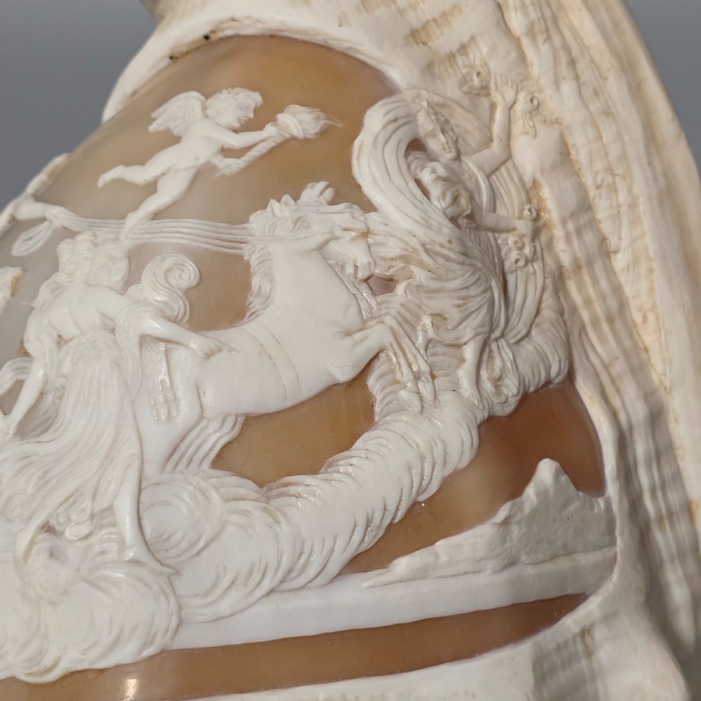 Fine Large (18cm) Antique Conch Shell Cameo Aurora Chariot Mythical Scene View XII