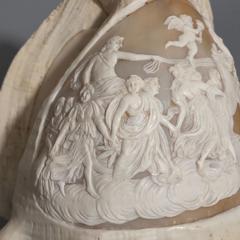 Fine Large (18cm) Antique Conch Shell Cameo Aurora Chariot Mythical Scene View XIII
