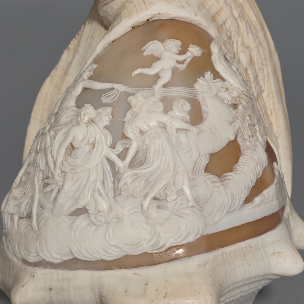 Fine Large (18cm) Antique Conch Shell Cameo Aurora Chariot Mythical Scene View XIV