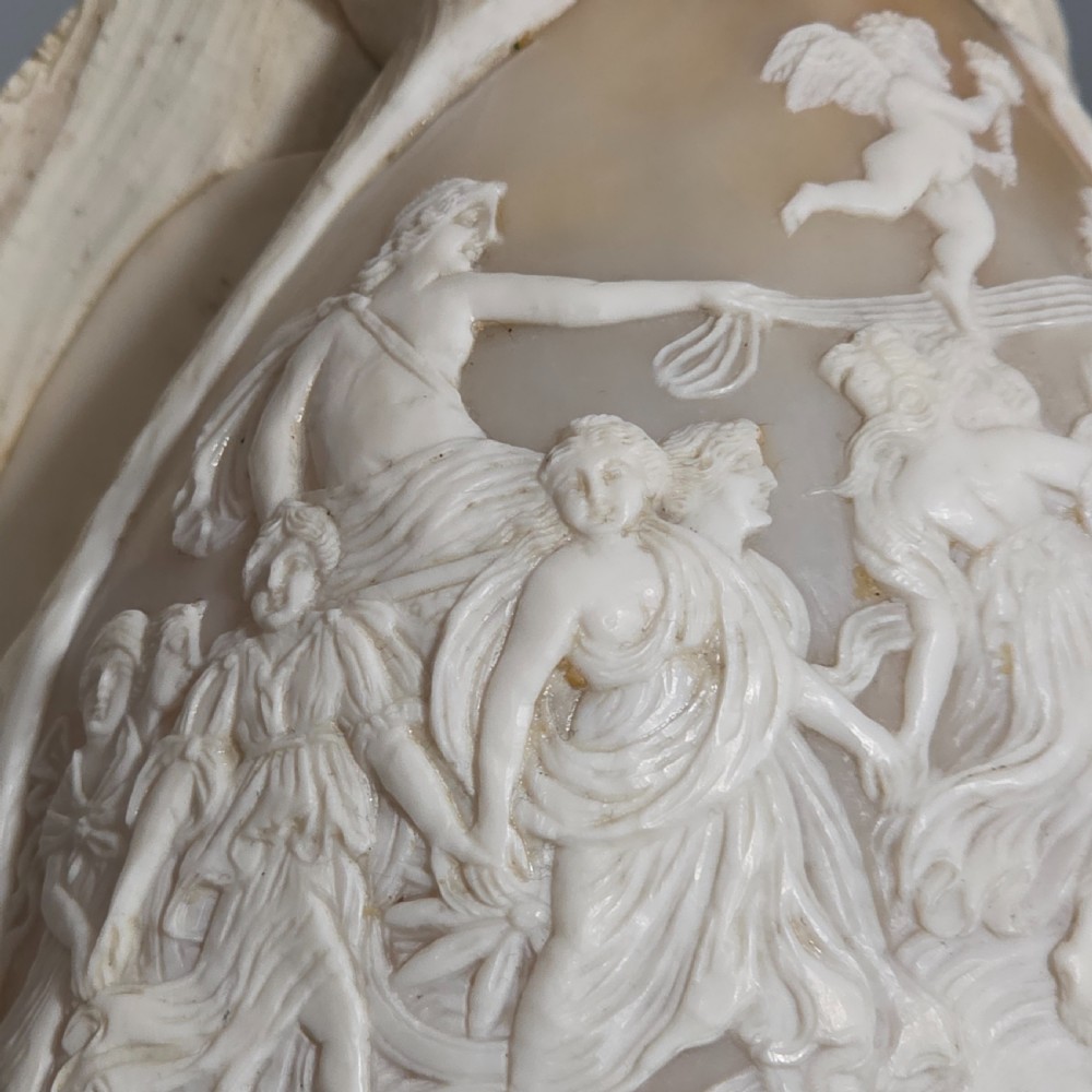 Fine Large (18cm) Antique Conch Shell Cameo Aurora Chariot Mythical Scene View XV