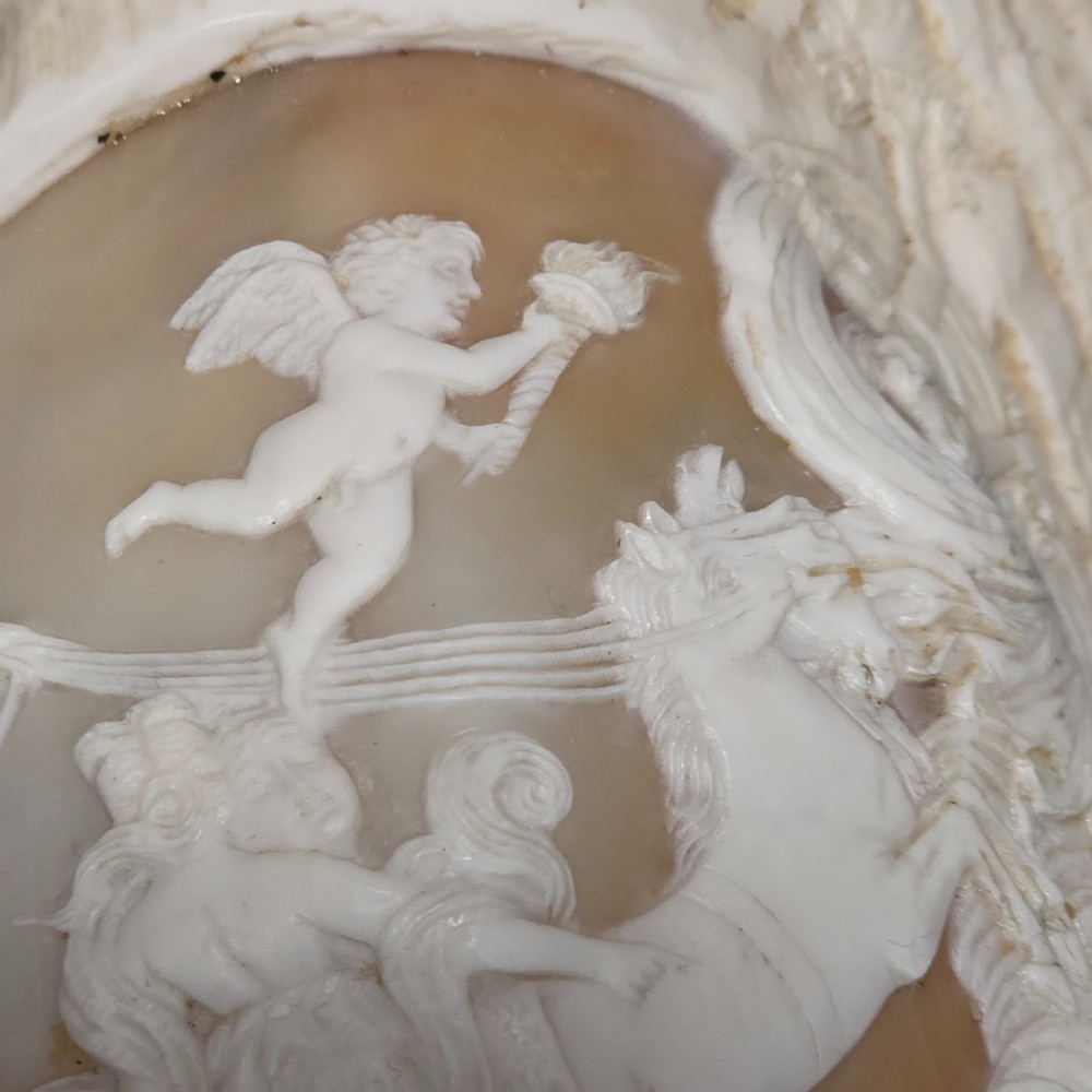 Fine Large (18cm) Antique Conch Shell Cameo Aurora Chariot Mythical Scene View XVI