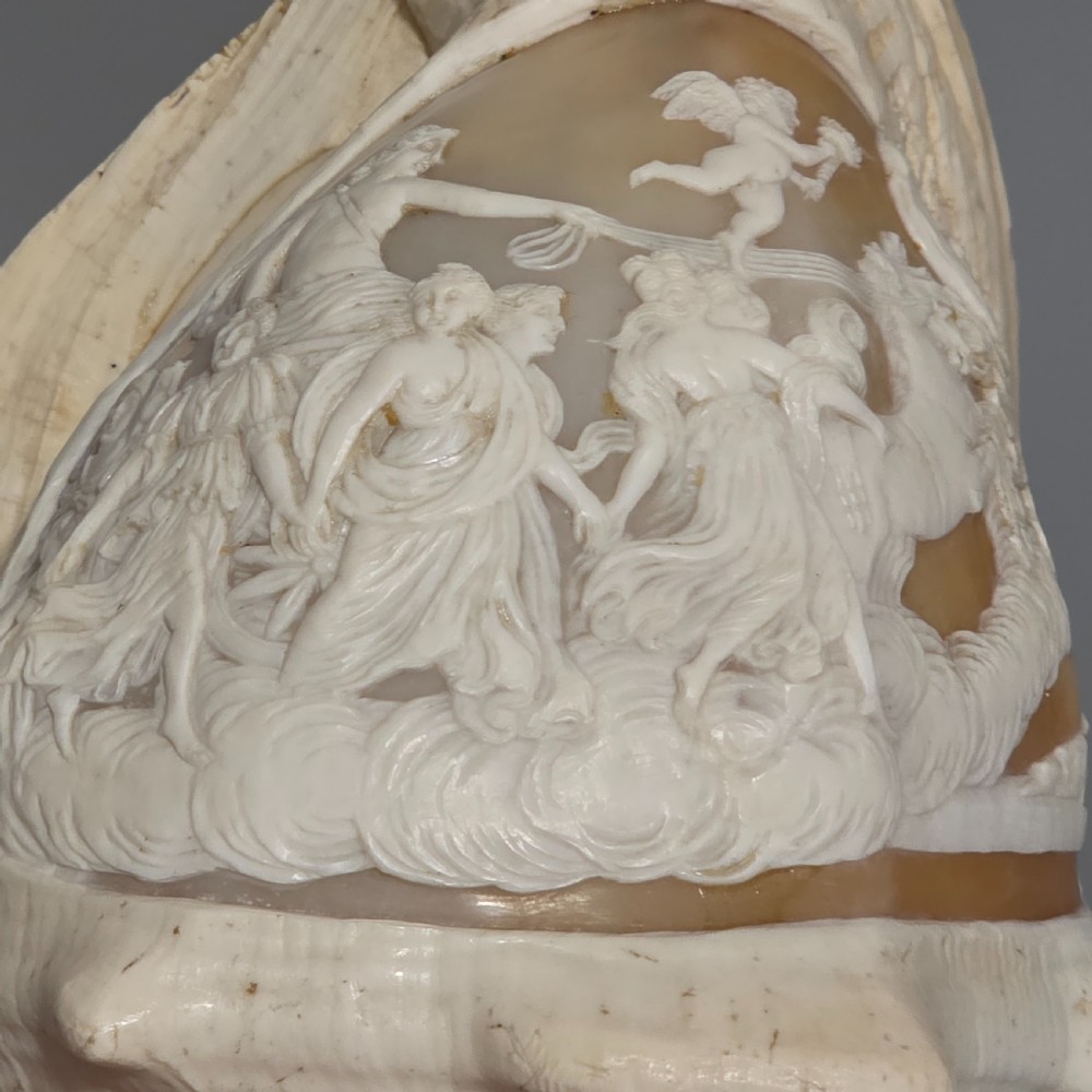 Fine Large (18cm) Antique Conch Shell Cameo Aurora Chariot Mythical Scene View XX