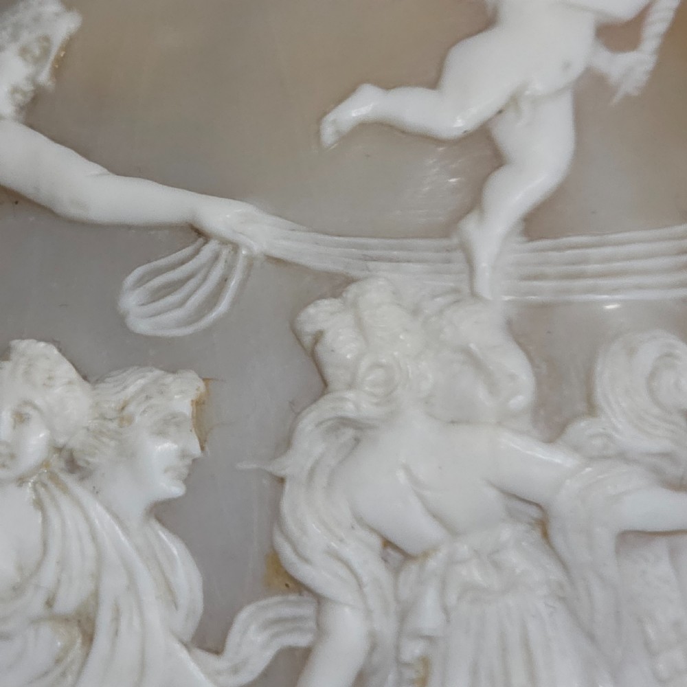 Fine Large (18cm) Antique Conch Shell Cameo Aurora Chariot Mythical Scene View XXI