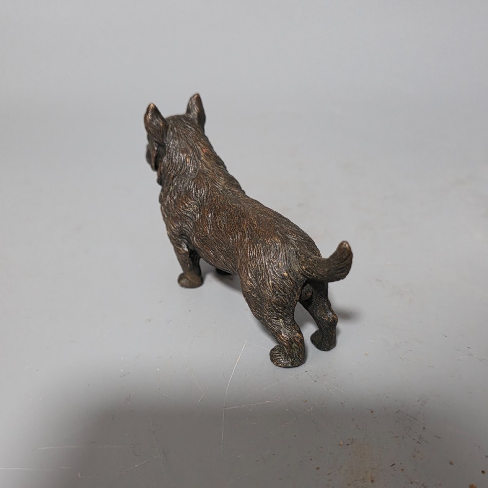 A small early twentieth-century Austrian bronze dog figurine standing with pricked ears and textured fur detail. View IV
