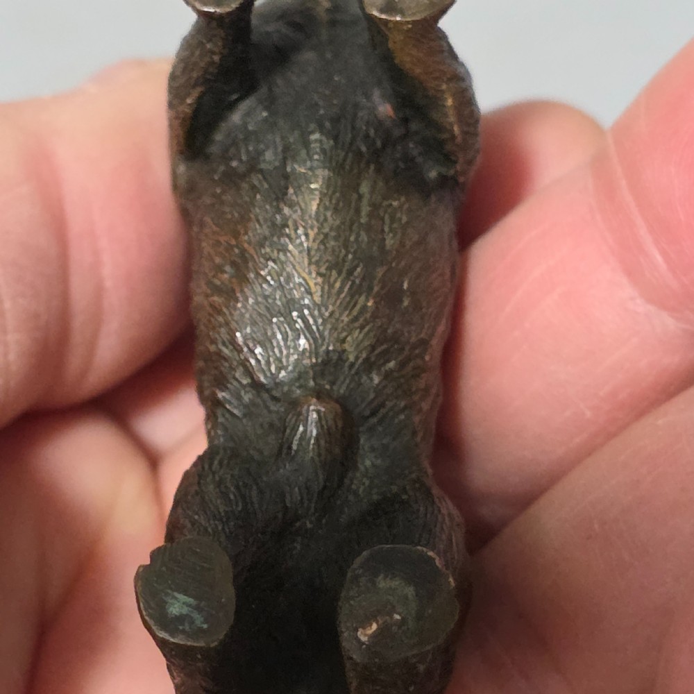 A small early twentieth-century Austrian bronze dog figurine standing with pricked ears and textured fur detail. View X