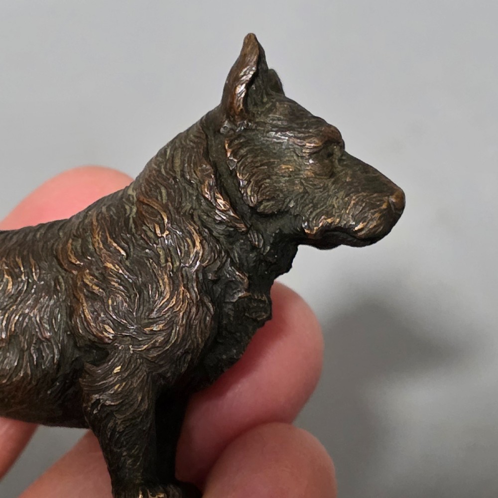 A small early twentieth-century Austrian bronze dog figurine standing with pricked ears and textured fur detail. View XII