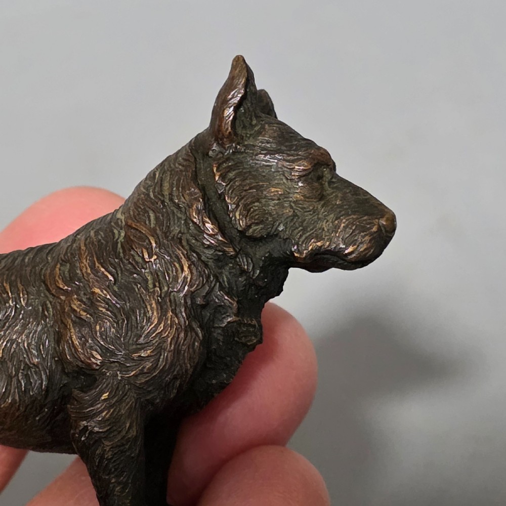 A small early twentieth-century Austrian bronze dog figurine standing with pricked ears and textured fur detail. View XIII