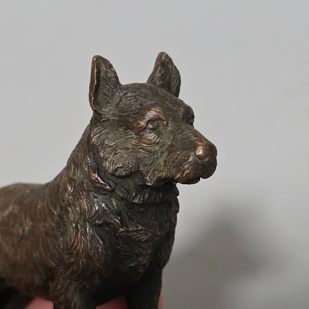 A small early twentieth-century Austrian bronze dog figurine standing with pricked ears and textured fur detail. View XIV