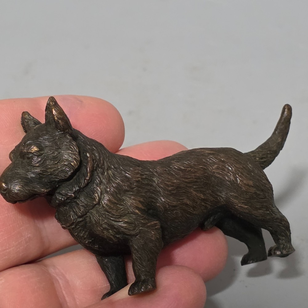 A small early twentieth-century Austrian bronze dog figurine standing with pricked ears and textured fur detail. View XV