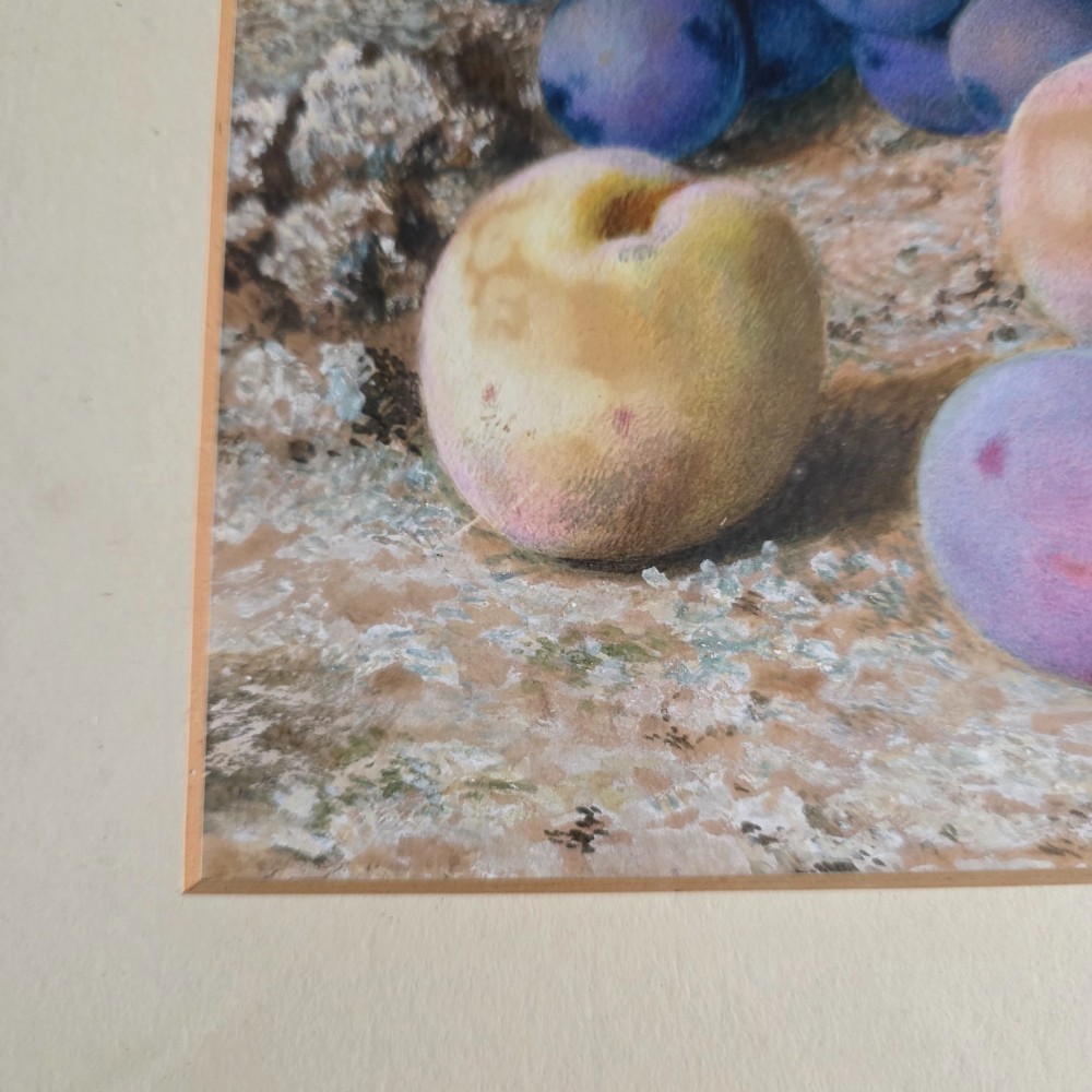 A framed 19th-century watercolour painting by John Sherrin depicting green and purple grapes, plums, and strawberries set against a mossy stone backdrop. View VIII