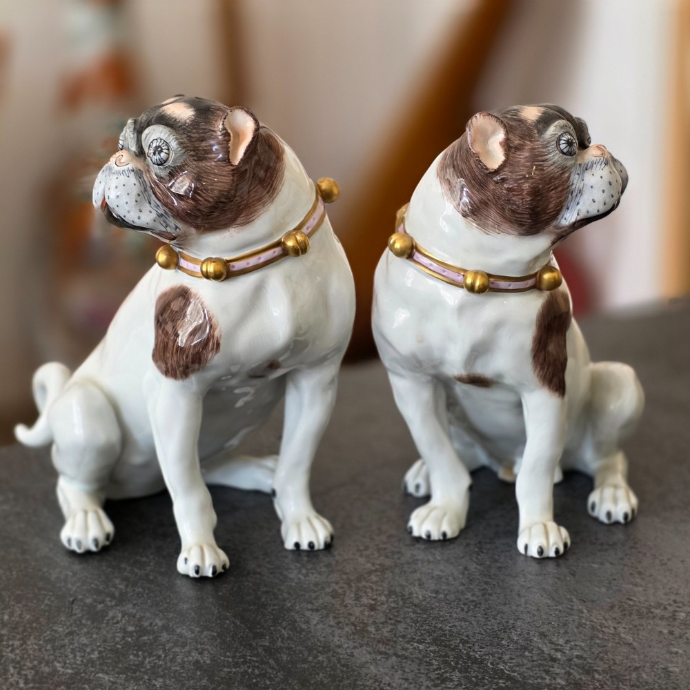 Charming Rare Pair of Dresden Saxon Porcelain Pug Dog Figurines – Male & Female | Early 20th Century View II