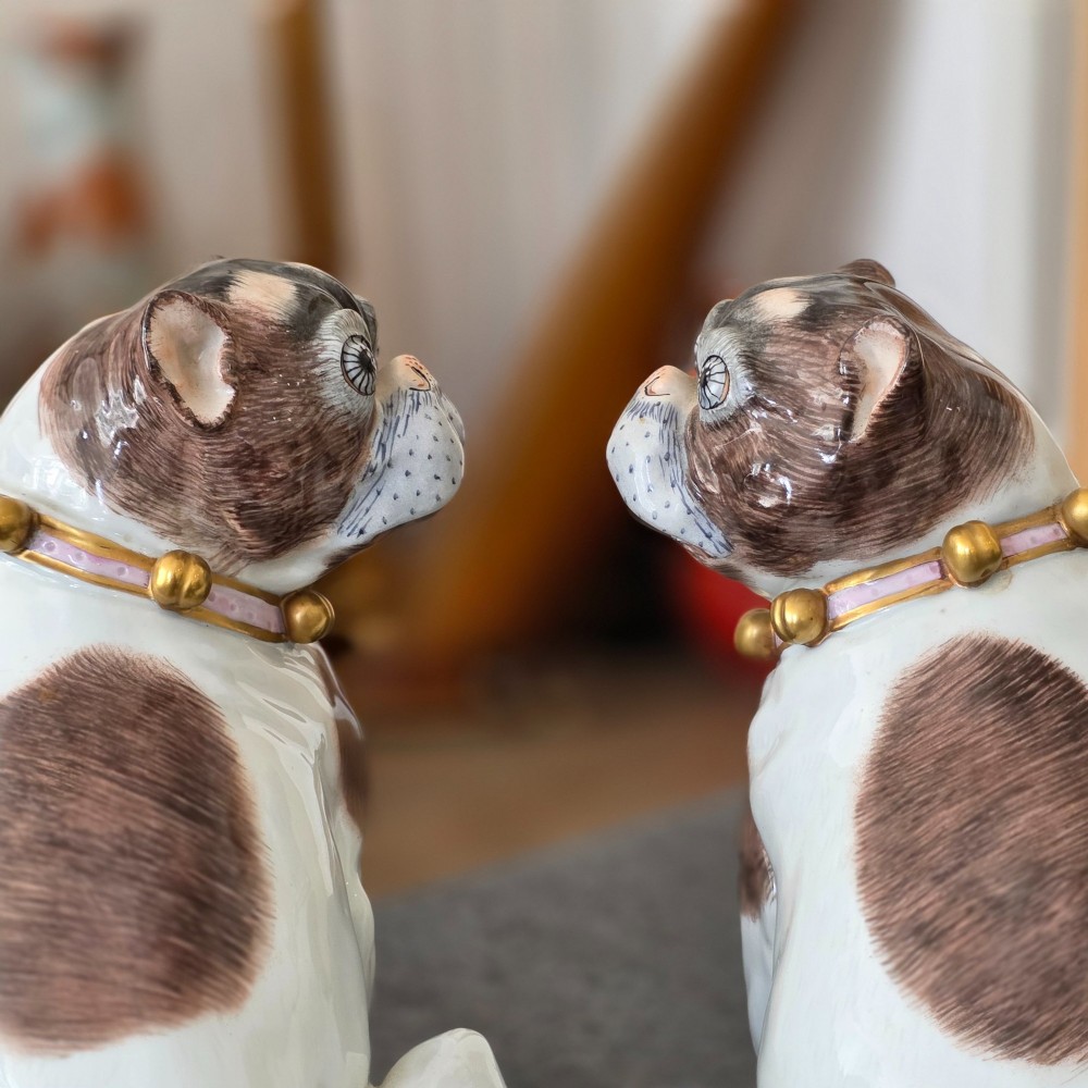 Charming Rare Pair of Dresden Saxon Porcelain Pug Dog Figurines – Male & Female | Early 20th Century View IV