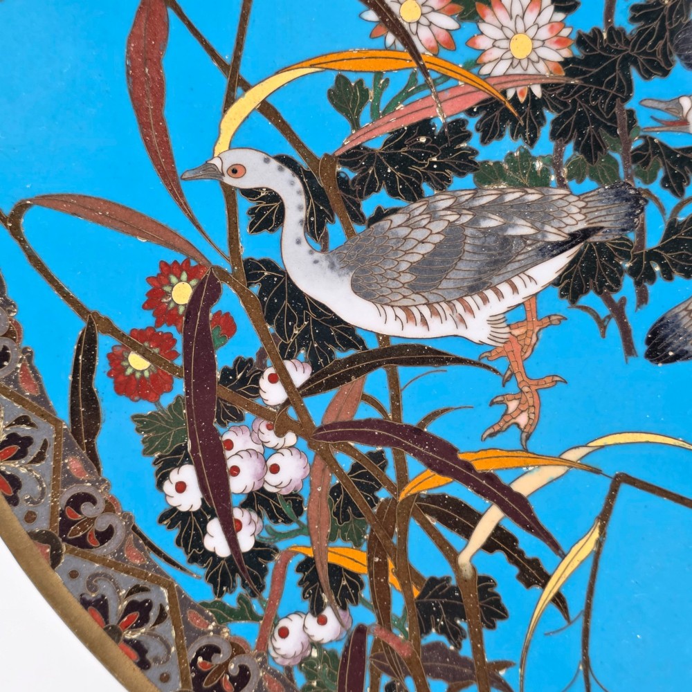 Alternate View