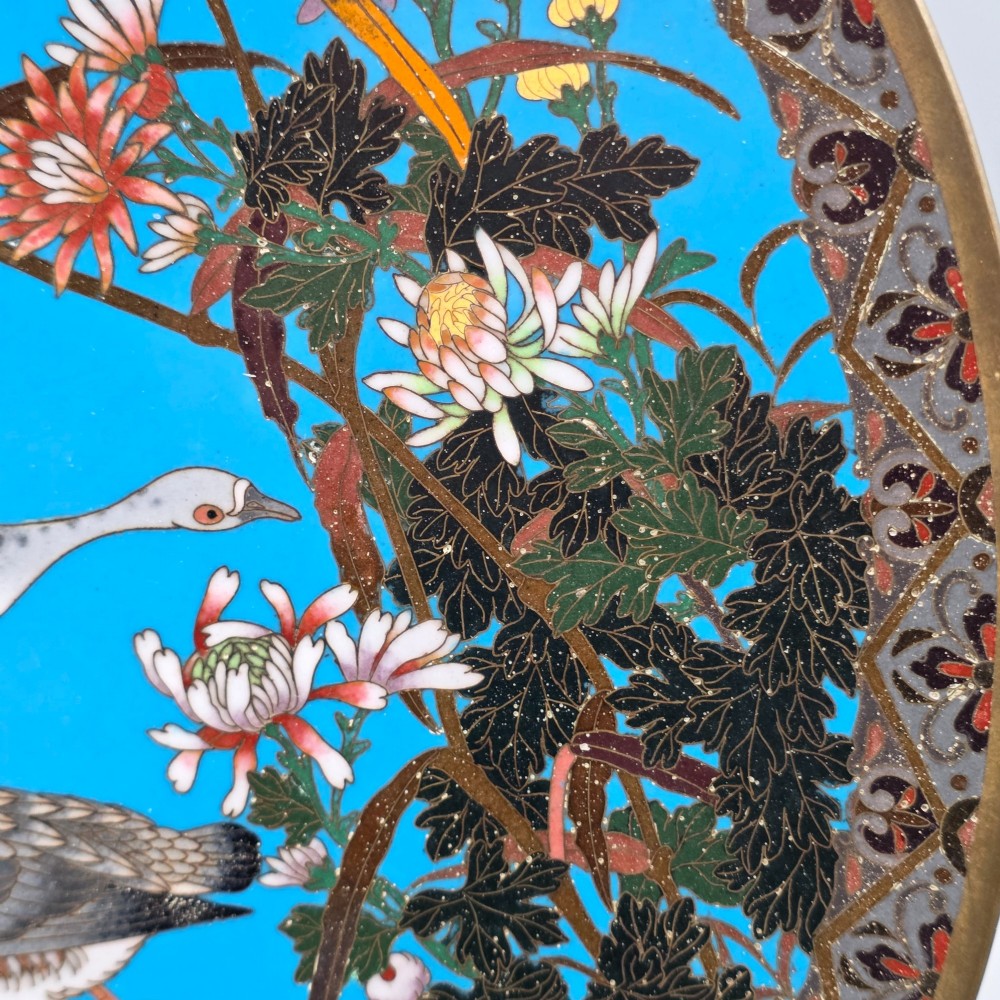 Detail View