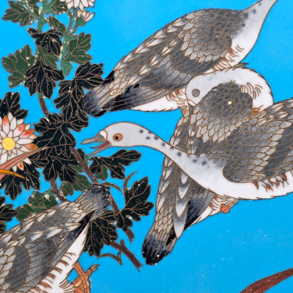 A circular Japanese cloisonne enamel charger depicting three wild geese amidst chrysanthemums against a vivid turquoise background. View IX