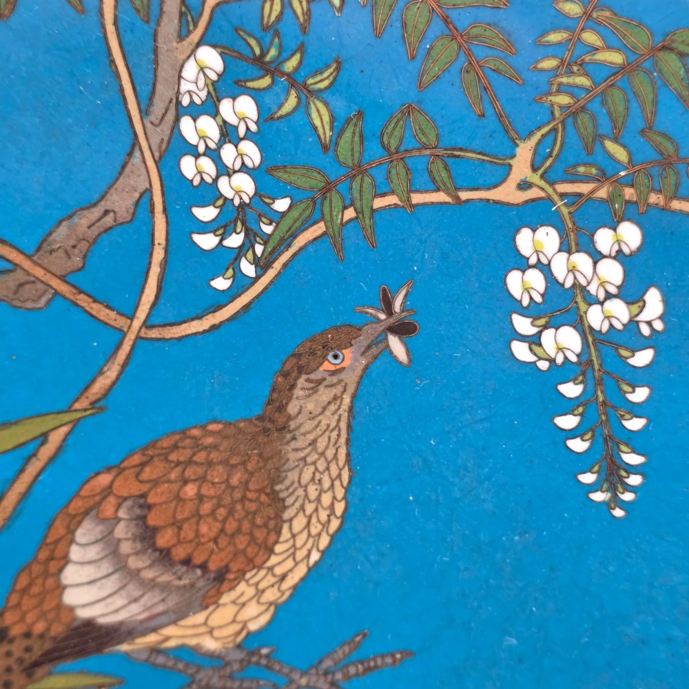 A circular Japanese Meiji period cloisonne enamel charger depicting birds perched on branches with flowers against a bright blue background. View VII