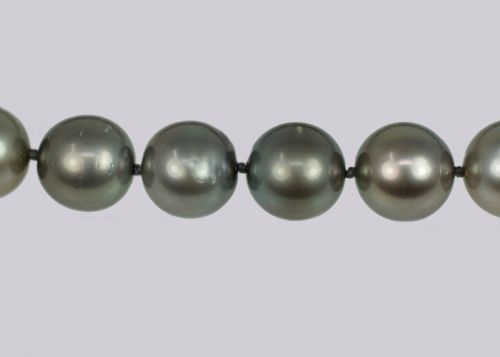 VINTAGE TAHITIAN PEARL NECKLACE SINGLE STRAND LARGE BLACK PEARL 19 CHOKER 1960S - ADDITIONAL PHOTO 7