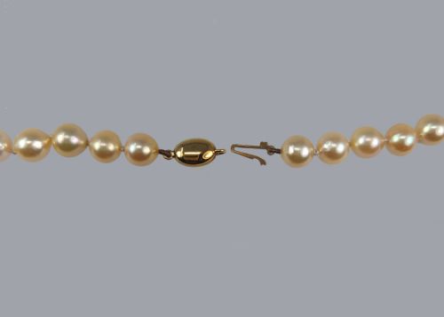 VINTAGE PEARL NECKLACE CREAMPINK WITH GEM REPORT SALT WATER 18CT CLASP SINGLE STRAND - ADDITIONAL PHOTO 5