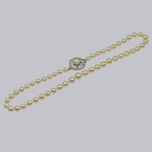 fig 1. A single strand of cream-coloured pearls hand-knotted on silk thread resting neatly around a neck.