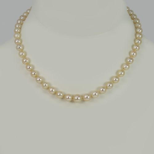 fig 3. A single strand of cream-coloured pearls hand-knotted on silk thread resting neatly around a neck.