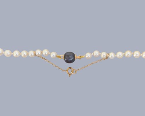 fig 3. A long single strand of graduated white cultured pearls featuring an 18ct gold clasp with a dark accent pearl and safety chain.