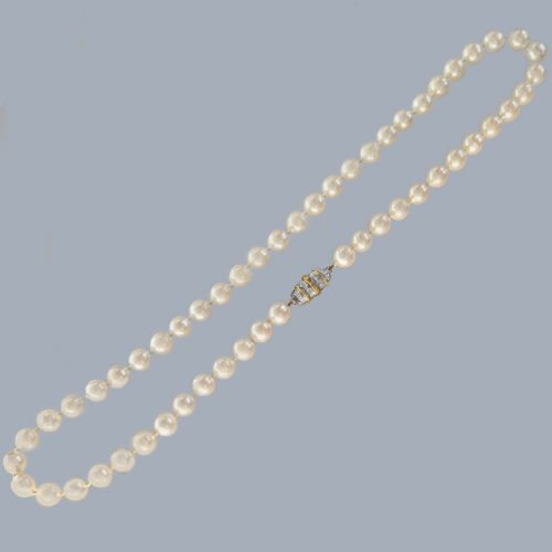 fig 4. A single strand of uniform cultured cream pearls featuring an ornate 9ct gold clasp embellished with diamonds.