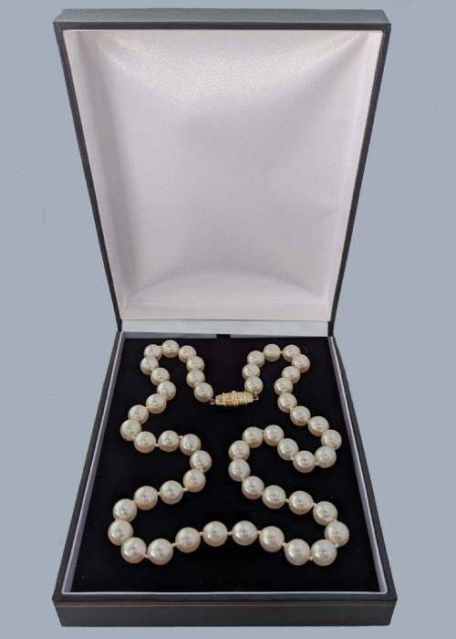 fig 6. A single strand of uniform cultured cream pearls featuring an ornate 9ct gold clasp embellished with diamonds.