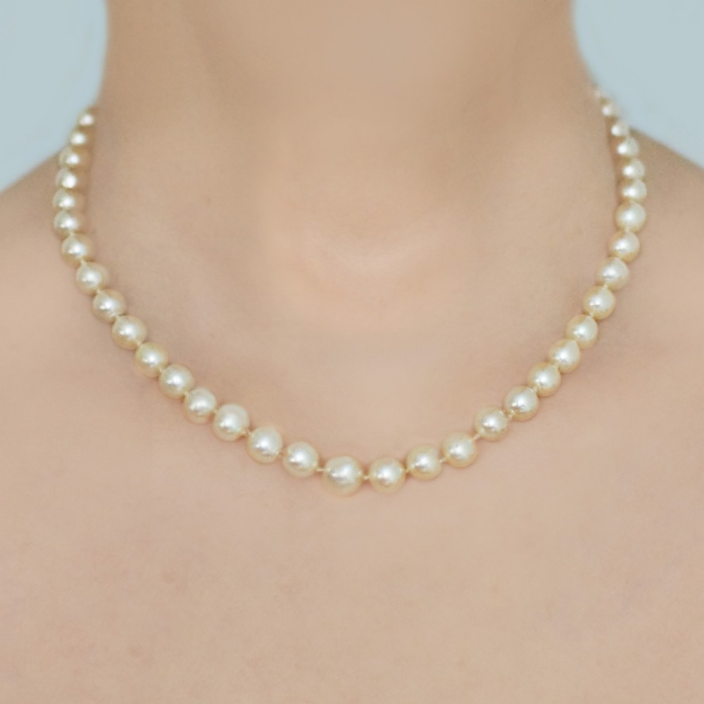 A single strand of cream-coloured pearls hand-knotted on silk thread resting neatly around a neck.