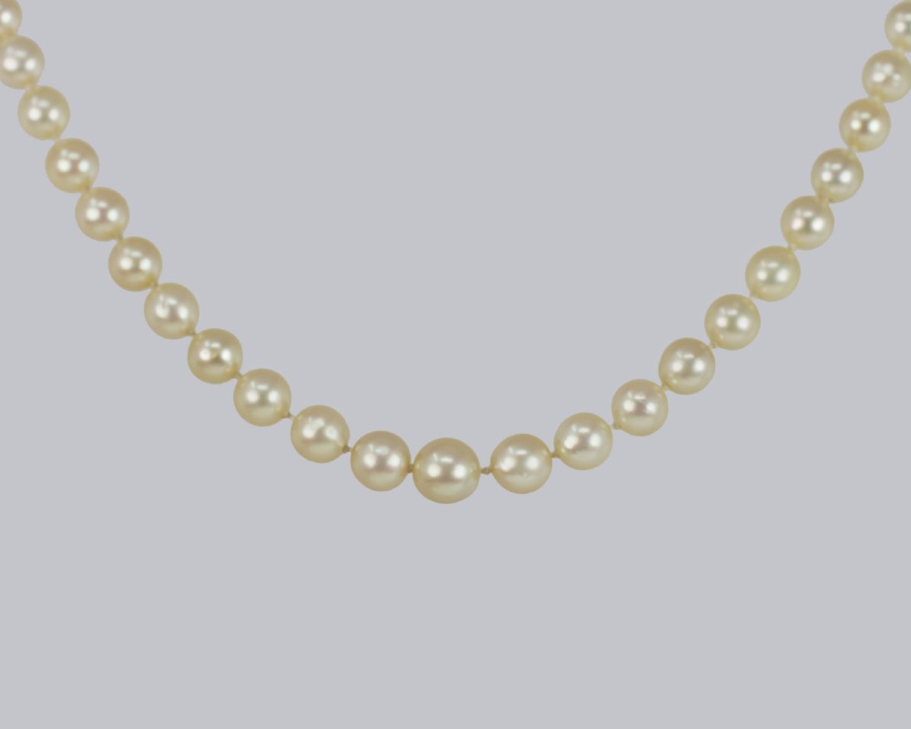 A single strand of cream-coloured pearls hand-knotted on silk thread resting neatly around a neck. View V