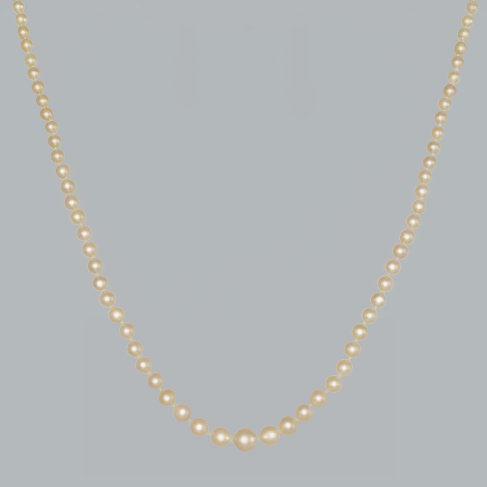 A single strand of graduated cream pearls featuring a fluted 18ct gold clasp and safety chain against a grey background. View VI