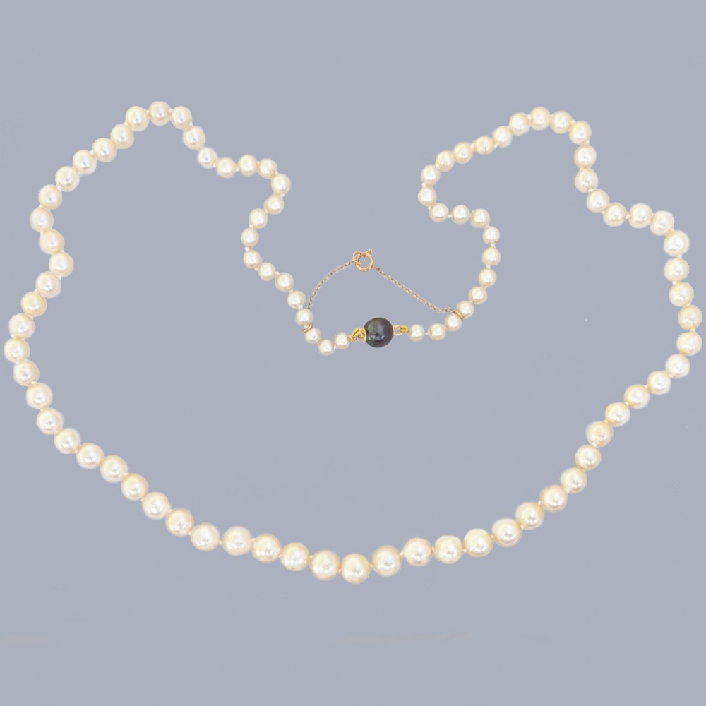 A long single strand of graduated white cultured pearls featuring an 18ct gold clasp with a dark accent pearl and safety chain.